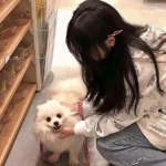 淘手游app下载软件